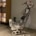 Polished Blackburn Buccaneer ejection seat for sale.